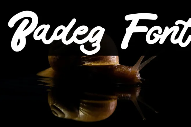 Badeg Example 2