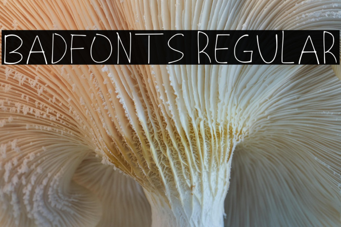 Badfonts Regular Example 1