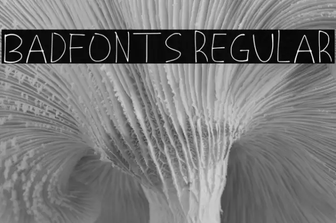 Badfonts Regular Example 1