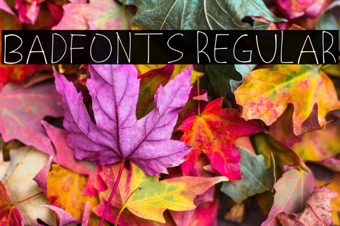 Badfonts Regular Example 3