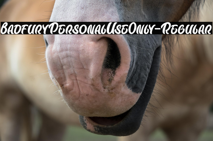 BadfuryPersonalUseOnly-Regular Example 3