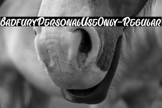 BadfuryPersonalUseOnly-Regular Schriftart examples