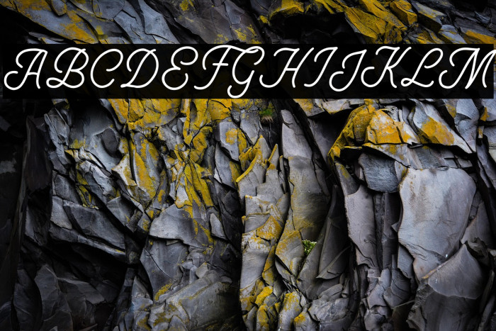 BadgearScriptDEMO Example 2