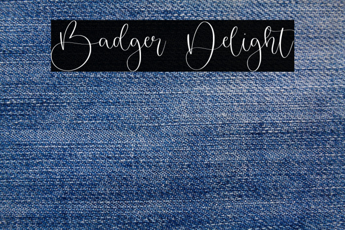 Badger Delight Example 1