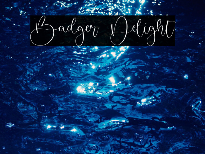 Badger Delight Example 2