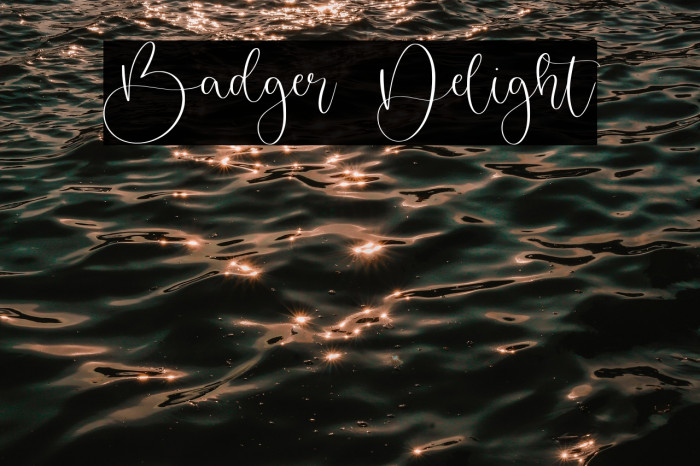 Badger Delight Example 3