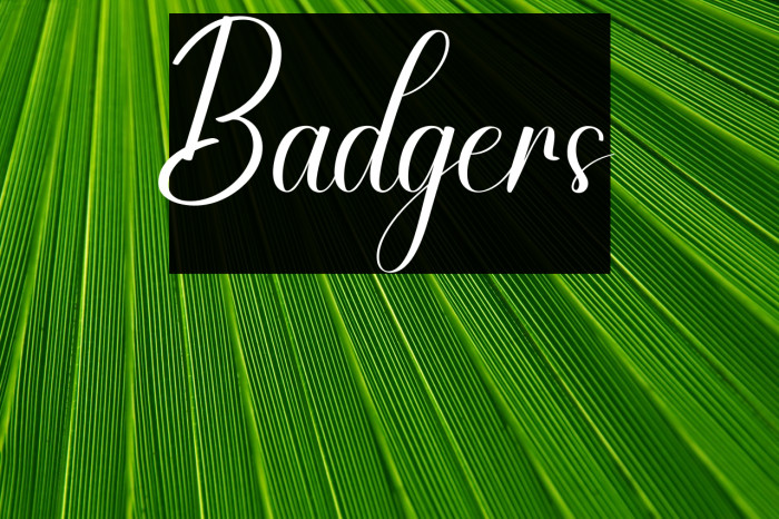 Badgers Example 1