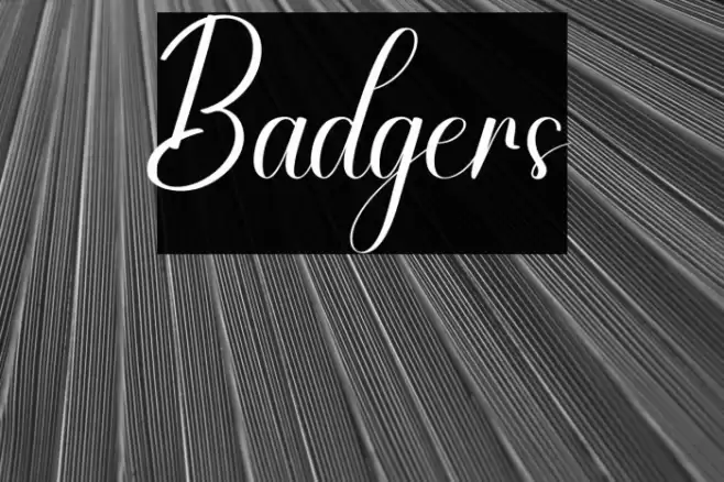 Badgers Schriftart examples