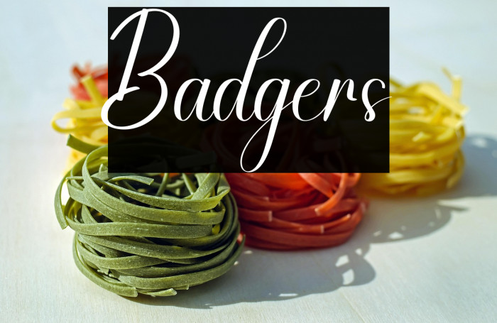Badgers Example 3