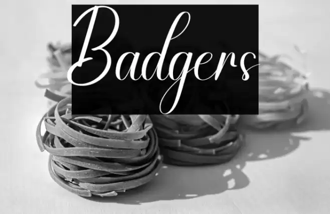 Badgers Schriftart examples