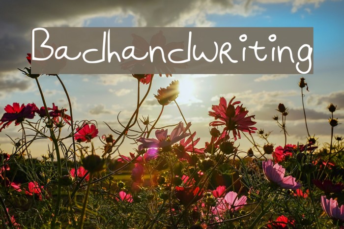 Badhandwriting Example 2