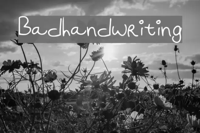 Badhandwriting Font examples