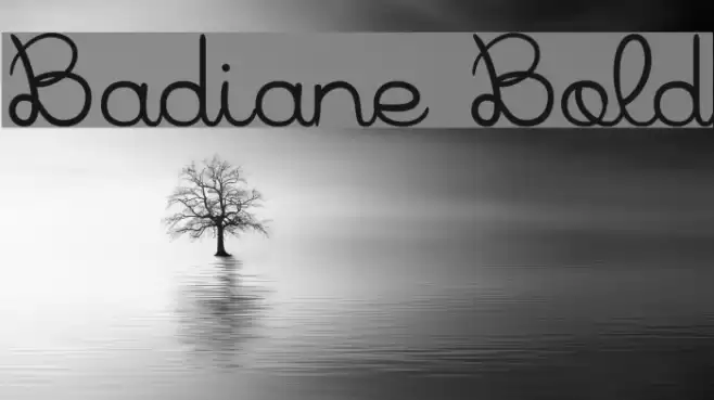 Badiane Bold Font examples