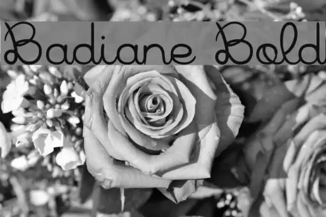 Badiane Bold Font examples