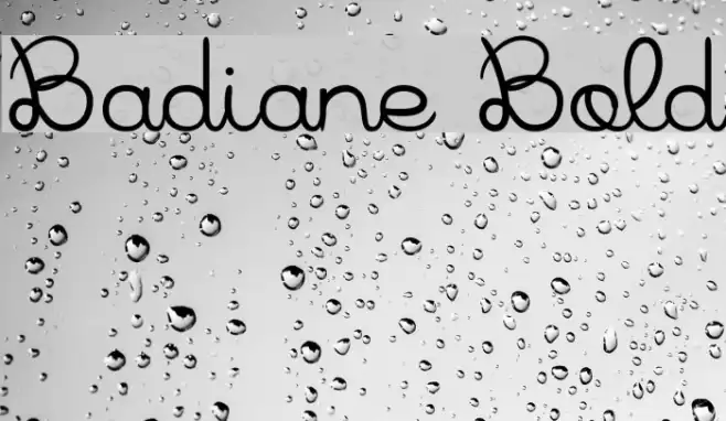 Badiane Bold Font examples