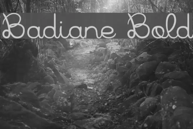 Badiane Bold Font examples
