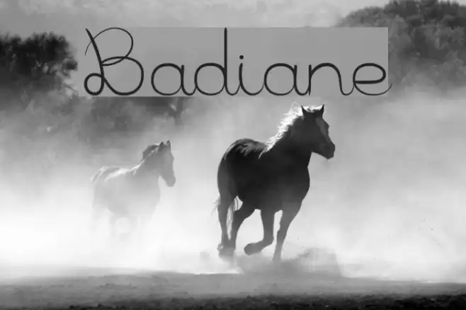 Badiane Font examples