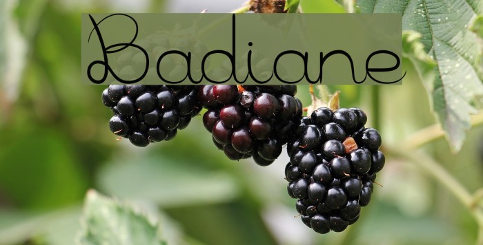 Badiane Font examples