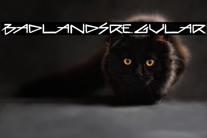 BadlandsRegular Example 1