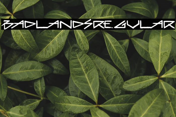 BadlandsRegular Example 3