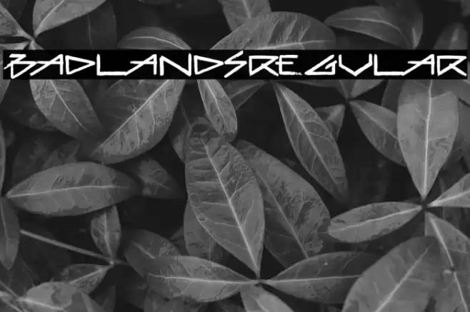 BadlandsRegular Font examples