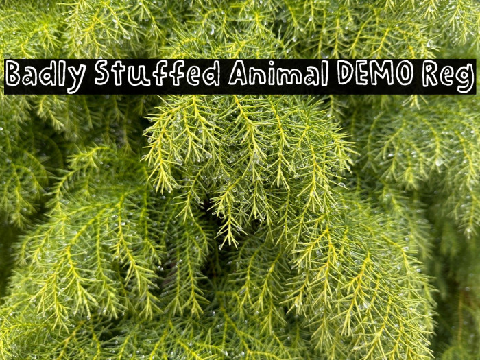 Badly Stuffed Animal DEMO Reg Example 2