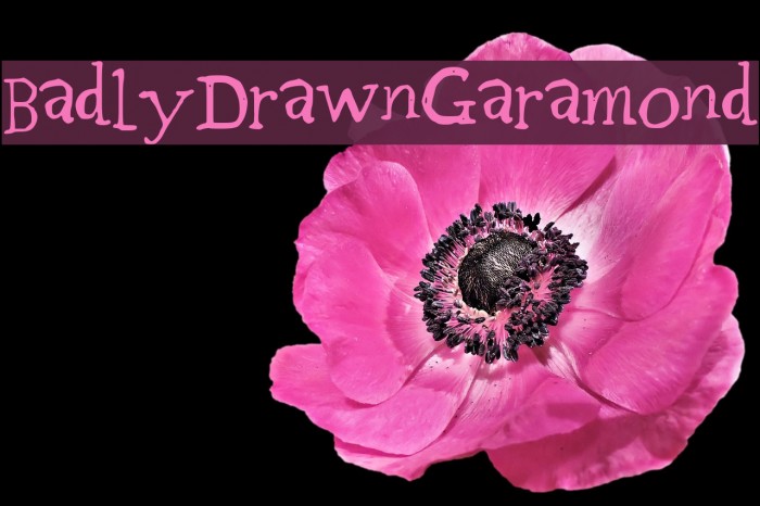 BadlyDrawnGaramond Example 2