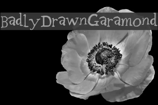 BadlyDrawnGaramond Font examples