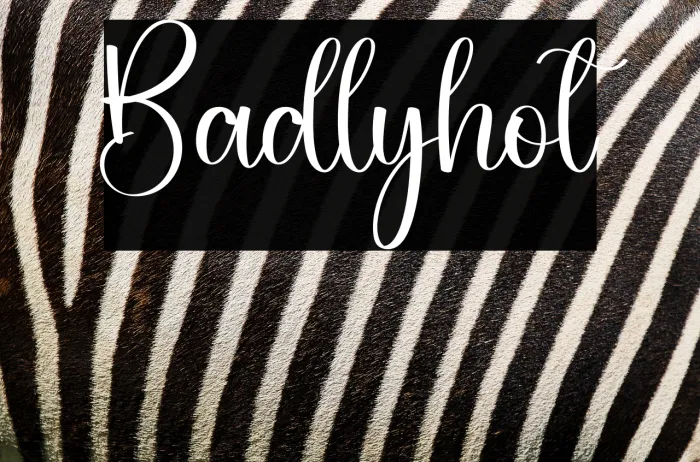 Badlyhot Example 1