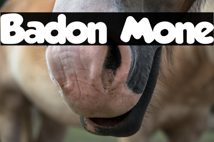 Badon Mone Example 1