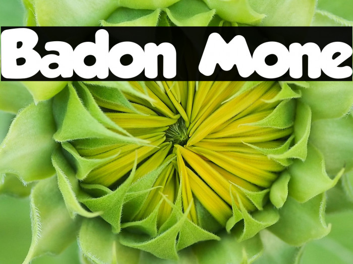 Badon Mone Example 3