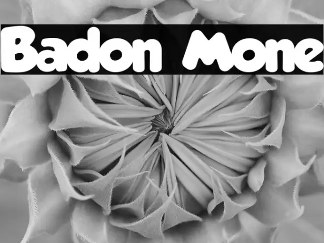 Badon Mone Example 3