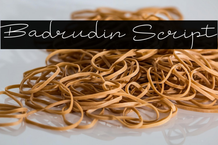 Badrudin Script Example 1