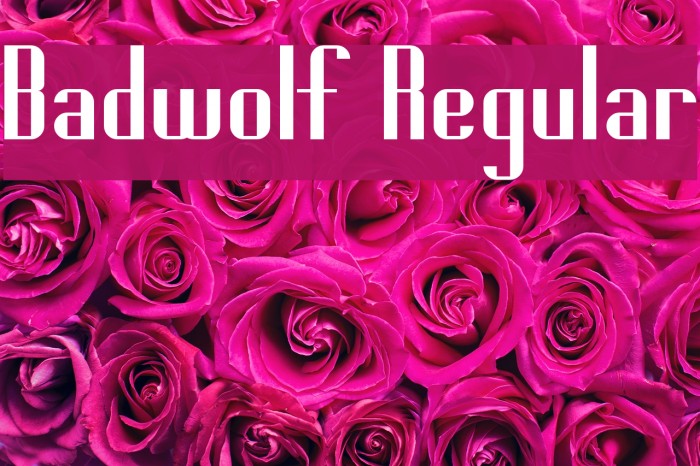 Badwolf Regular Font examples