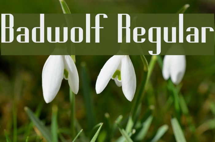 Badwolf Regular Font examples