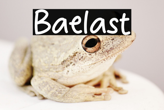 Baelast Example 2