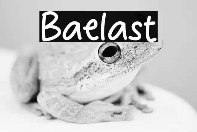 Baelast Font examples