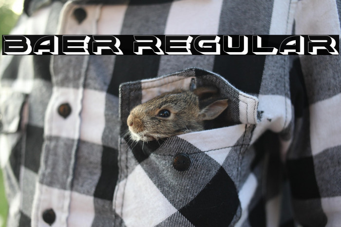 Baer Regular Example 1