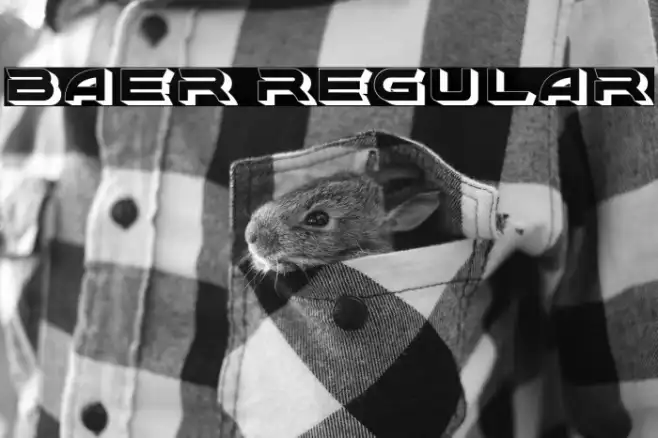 Baer Regular Example 1