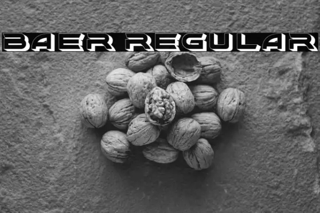 Baer Regular Example 2