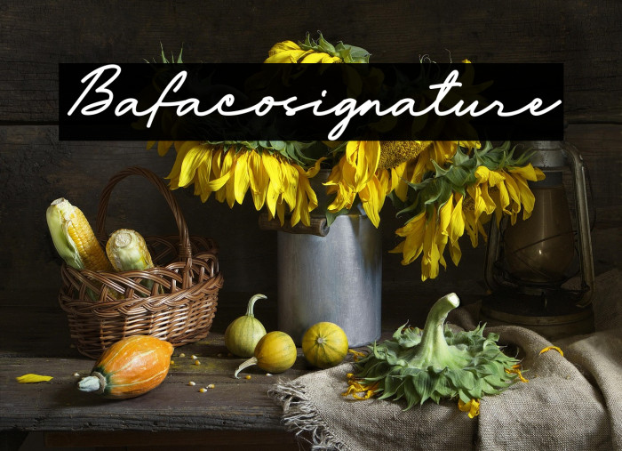 Bafaco_signature Example 1