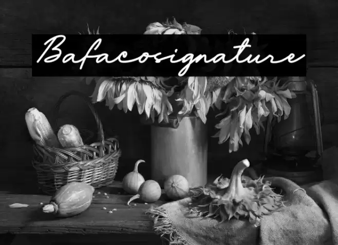 Bafaco_signature Font examples