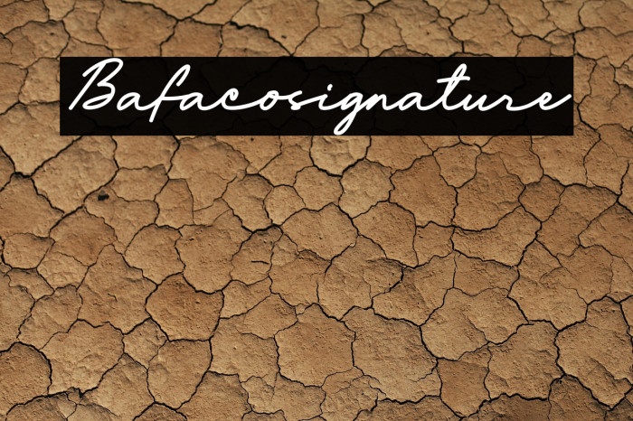 Bafaco_signature Example 2