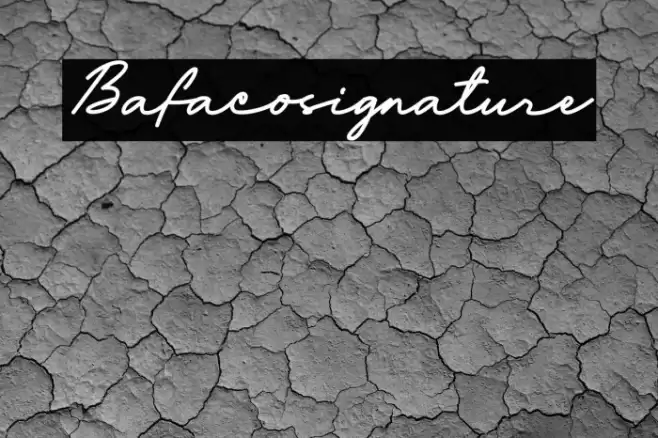Bafaco_signature Font examples
