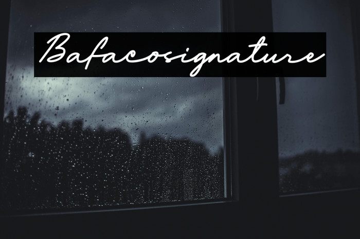 Bafaco_signature Example 3