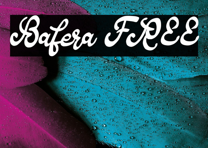 Bafera FREE Example 1