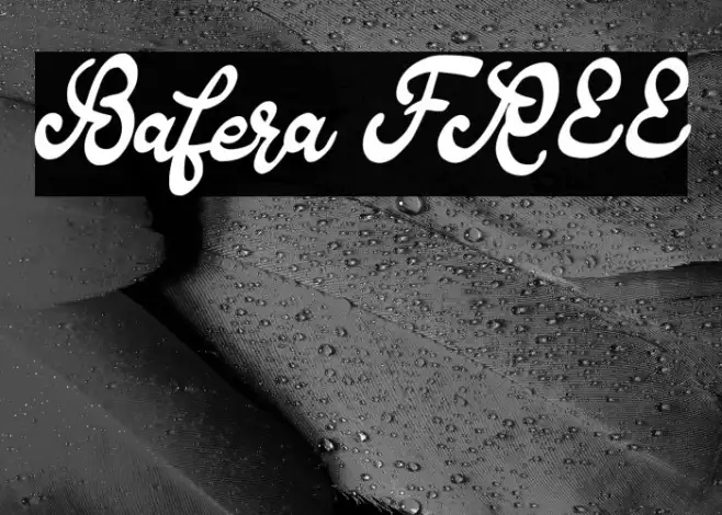 Bafera FREE Example 1
