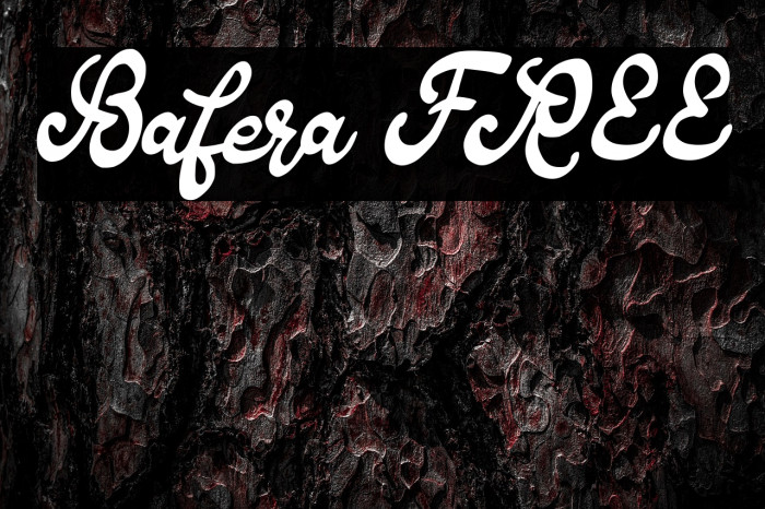 Bafera FREE Example 3