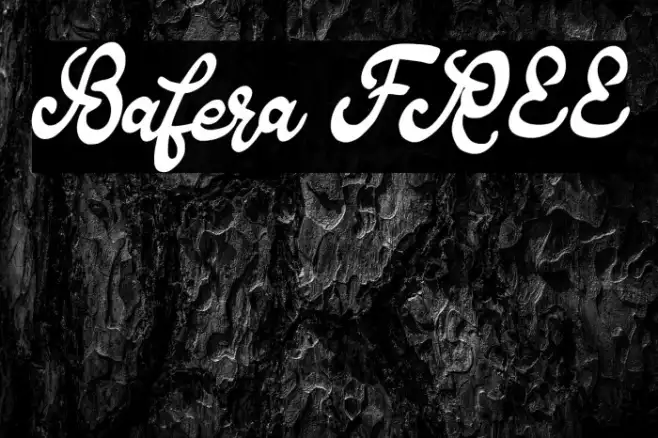 Bafera FREE Example 3