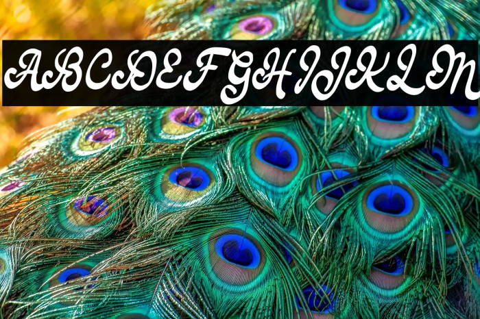 BaferaFREE Example 1